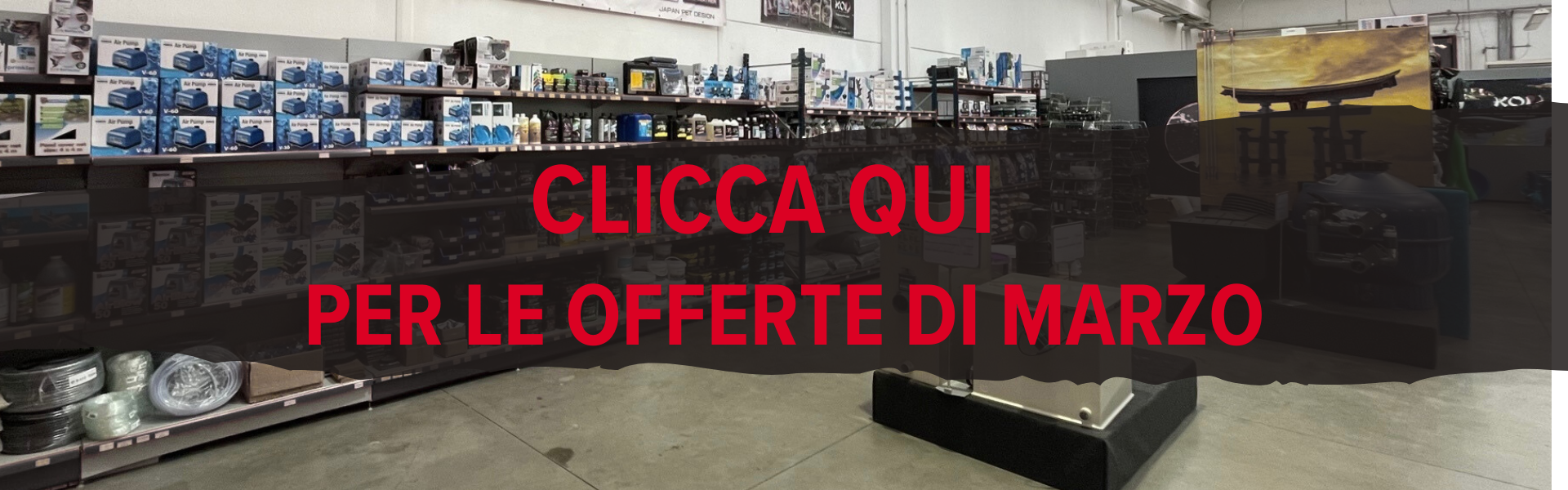 offerta del mese 